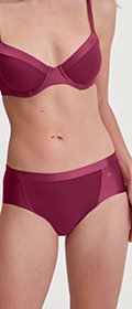 Calida Panty Cate