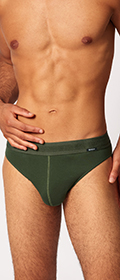 Skiny Brasil Slip Cotton Retro Doppelpack