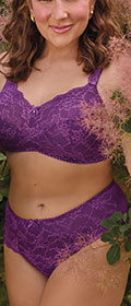 Rosa Faia Taillenslip Bobette