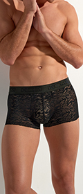 HOM Trunk Free Cut Lace 