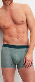 Calida Boxer Grafic Cotton
