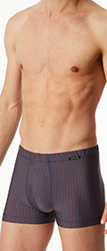 Schiesser Shorts Pure Micro