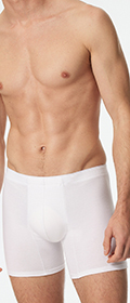 Schiesser Shorts Premium Cotton