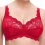BH ohne Bügel Latina