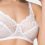 (1QC59) BH ohne Bügel Amourette 300