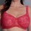 Rosa Faia Big Cup BH Abby