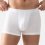 Trunk Shorty Casual Cotton