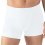 Trunk Shorts Comfort Cotton