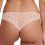 Tanga ACE