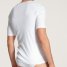 Calida Shirt Kurzarm Cotton 1:1
