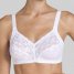 Triumph (1NY92) BH Delicate Doreen