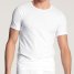 Calida T-Shirt Cotton Code
