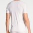 Calida V-Shirt Cotton Code