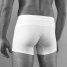Super Constellation Boxer Short Sir John
