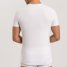 Hanro Shirt kurzarm Cotton Essentials Doppelpack