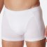 Schiesser Shorts 95/5 Originals