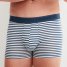 Calida Boxer Grafic Cotton