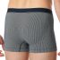 Schiesser Shorts Duality Function
