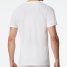 Schiesser Shirt Premium Cotton