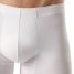 Schiesser Shorts Premium Cotton