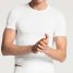 Calida T-Shirt Evolution