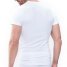 Mey Olympia Shirt Software
